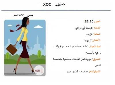 ar_example-information_about_customer_structure_of_xoc.jpg